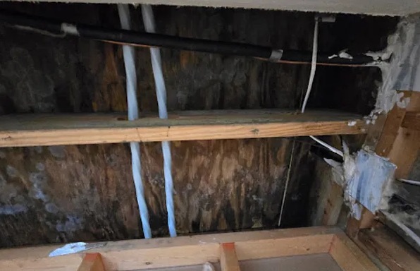 Roof Leak Repair & Water Damage Mitigation in Thompson's Station, TN