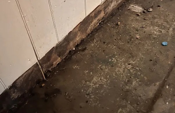 Toilet Overflow Cleanup in Manchester, TN