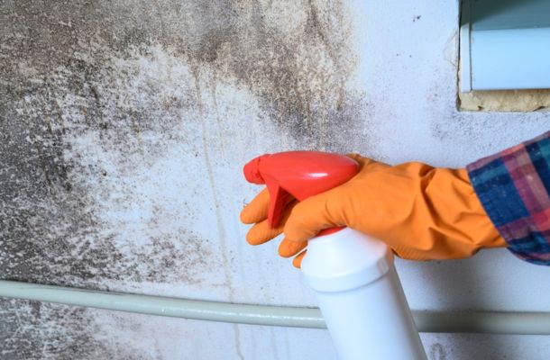 Mold Remediation Murfreesboro, Tennessee